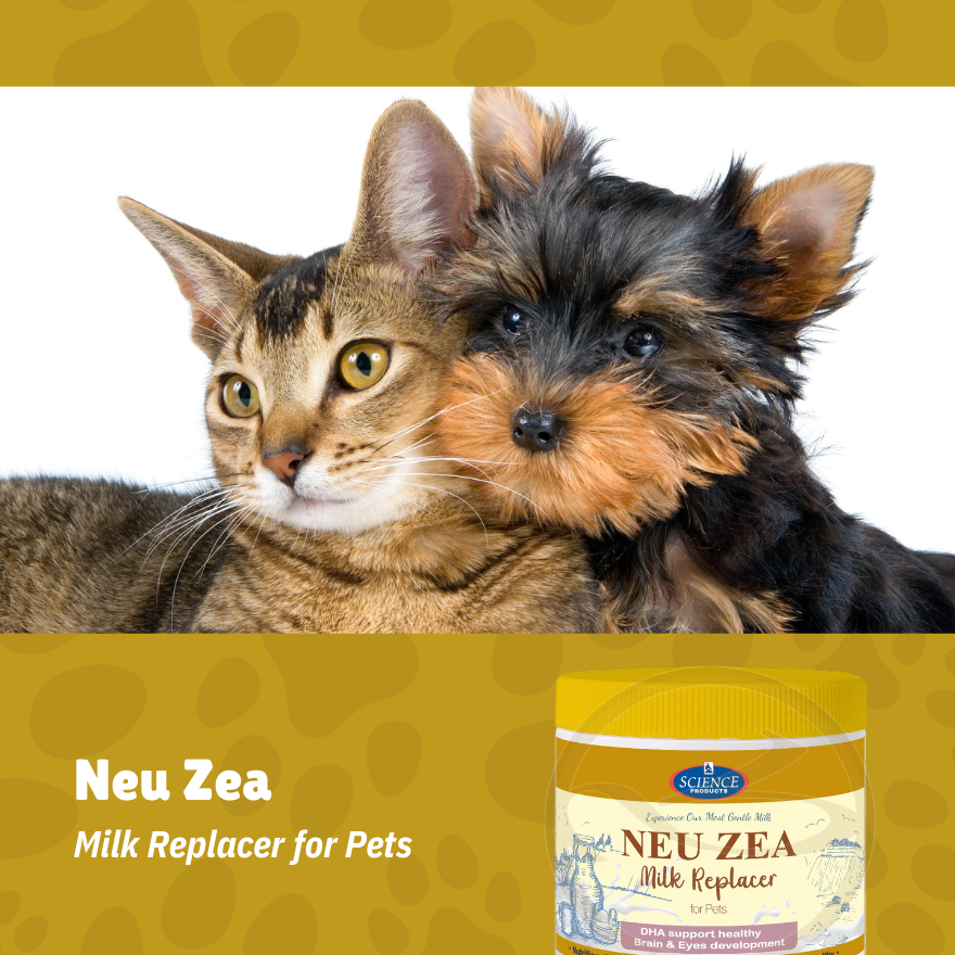 Neu Zea milk replacer for Puppies & Kitten 250g