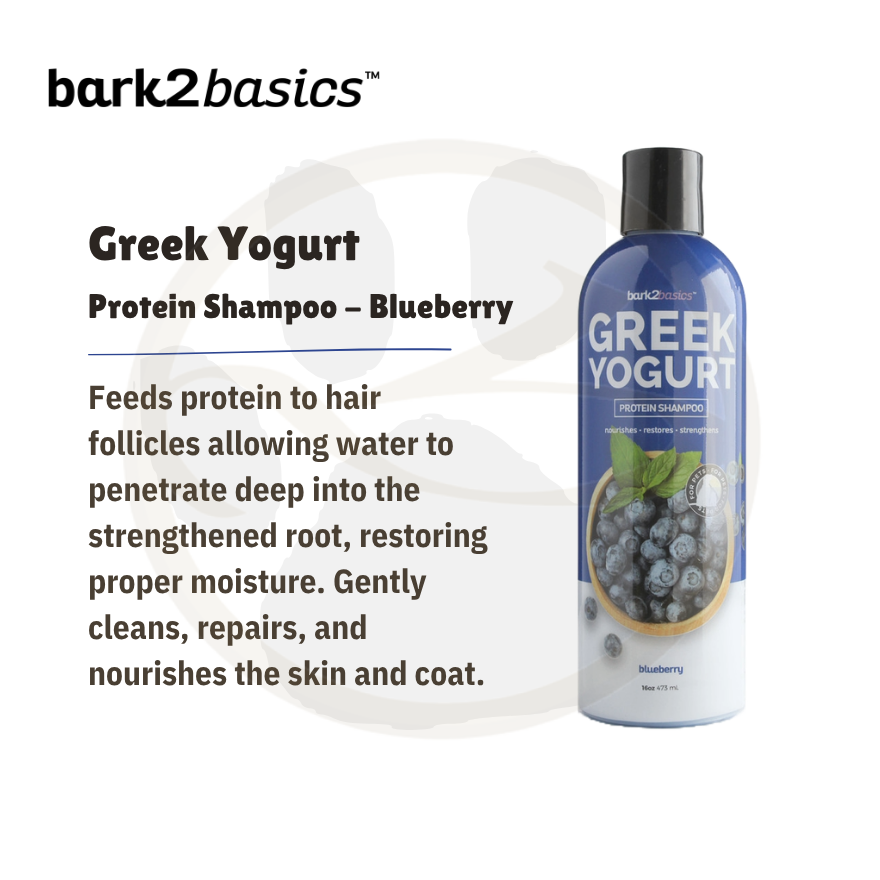 B2B Blueberry Greek Yogurt Shampoo