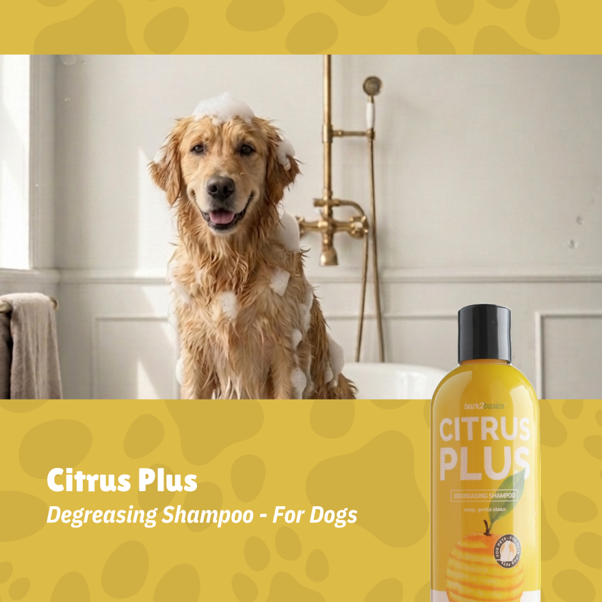 Citrus Plus Shampoo 16oz(484ml)