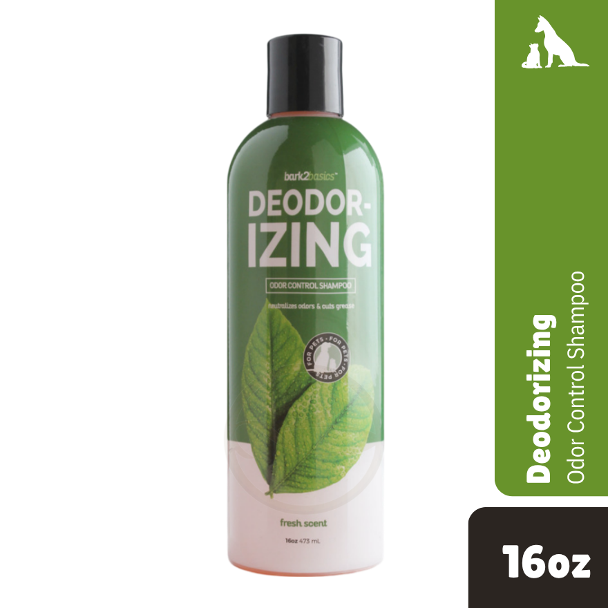 B2B Deodorizing Shampoo 16oz