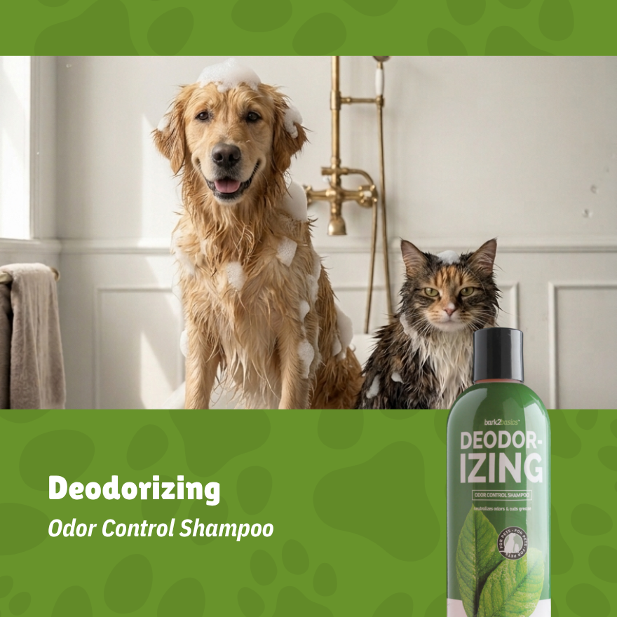 B2B Deodorizing Shampoo 16oz