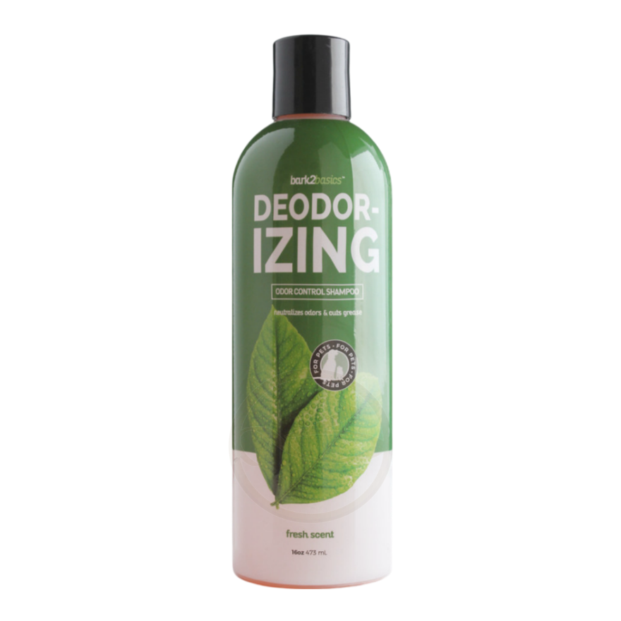 B2B Deodorizing Shampoo 16oz