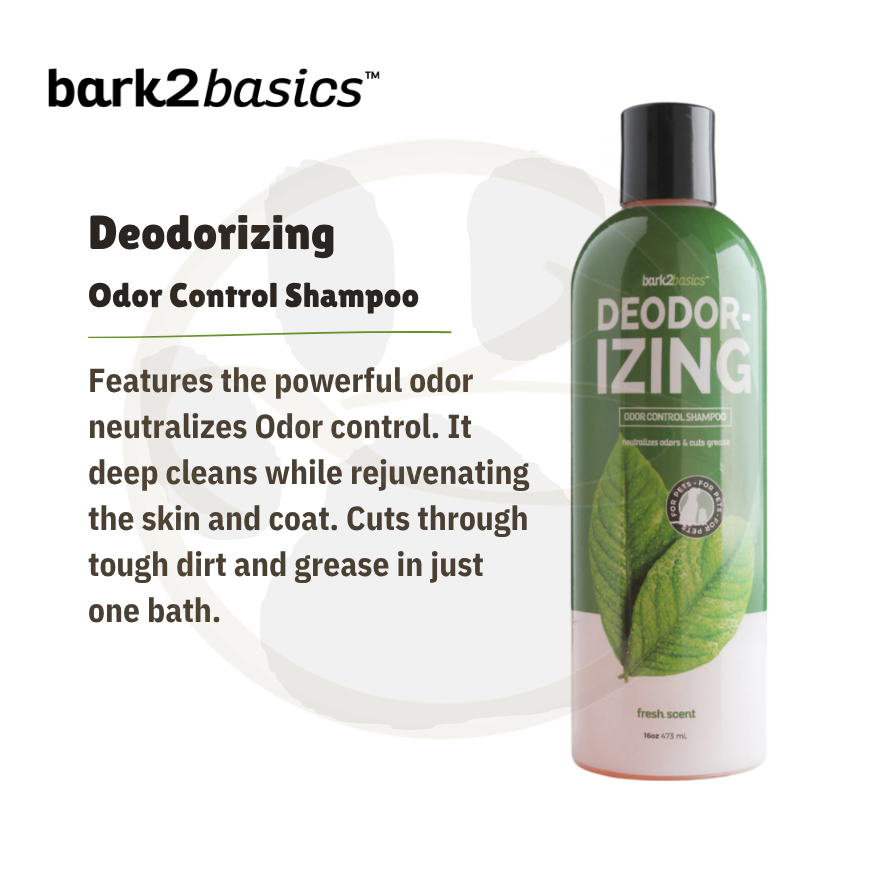 B2B Deodorizing Shampoo 16oz