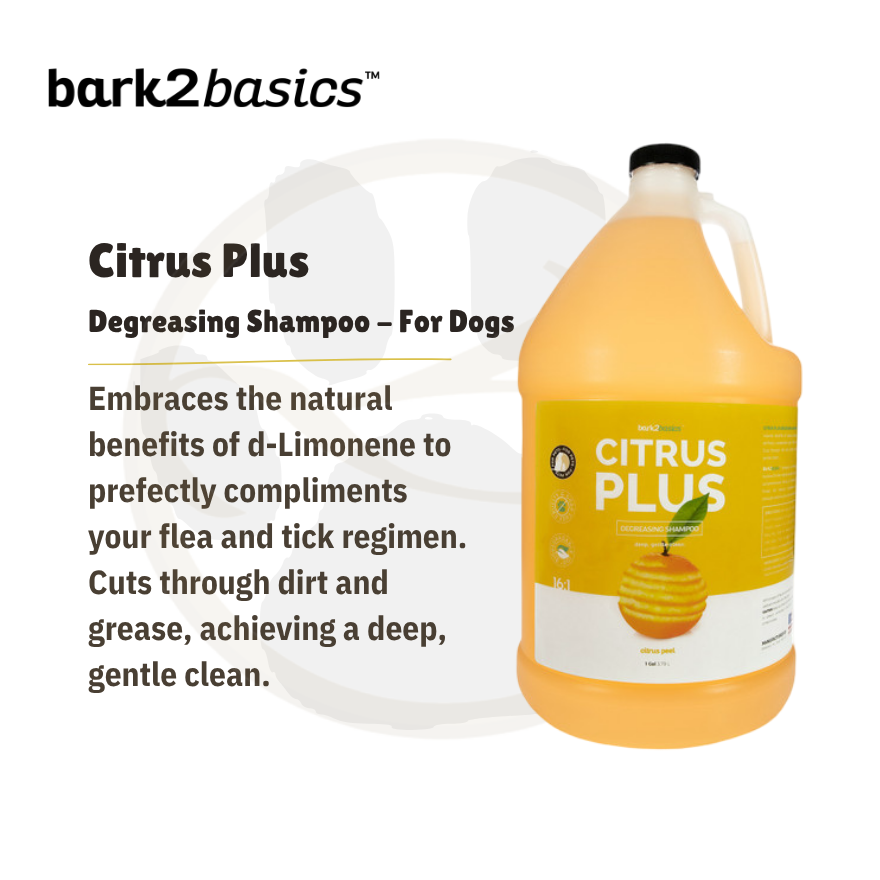 Citrus Plus Shampoo 1 Gallon