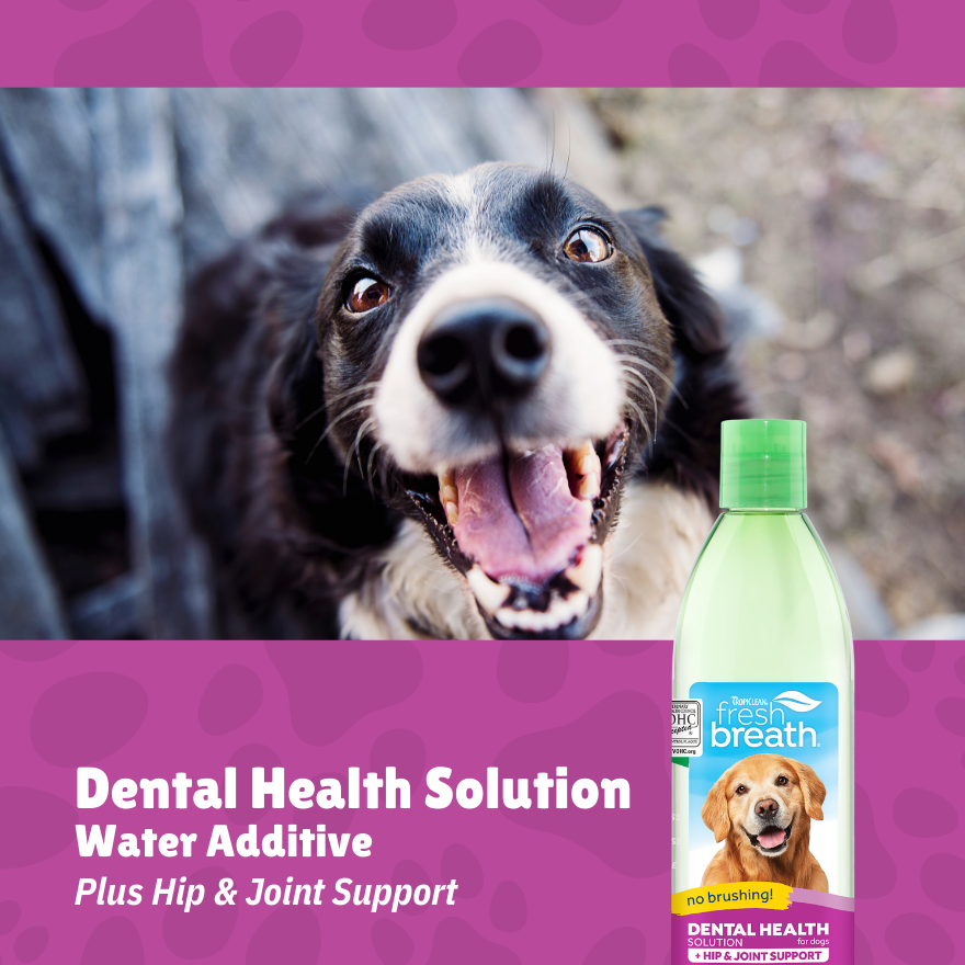 Tropiclean Water Additive Plus Hip & Joint 16oz(473ml)