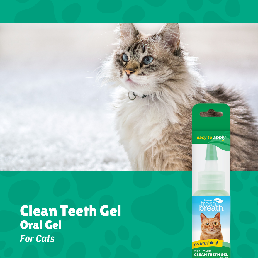 Tropiclean Clean Teeth Gel Cat 2oz(60ml)
