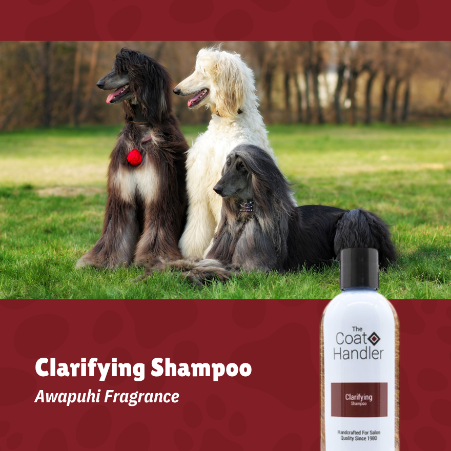 The Coat Handler Clarifying Shampoo 15:1 16oz(476ml)