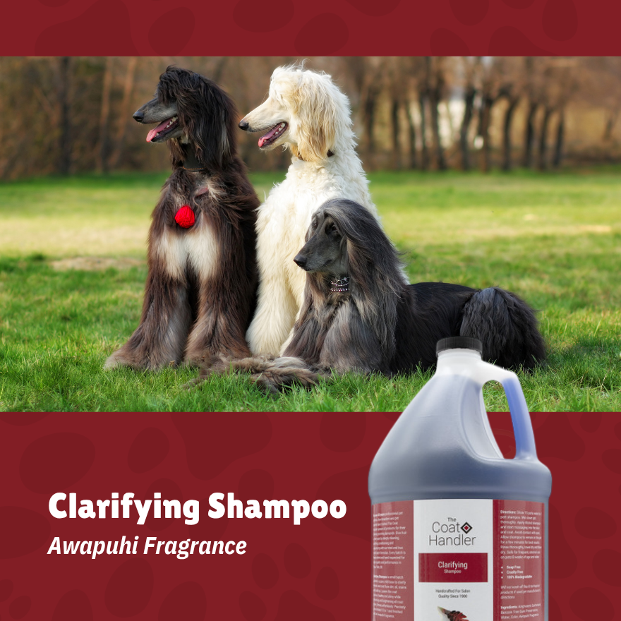 The Coat Handler Shampoo 15:1 1Gallon