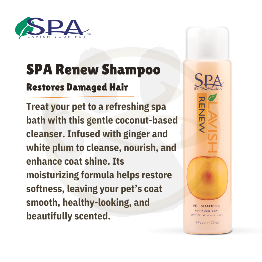 SPA Renew Shampoo (Restores damaged hair) 16oz(473ml)