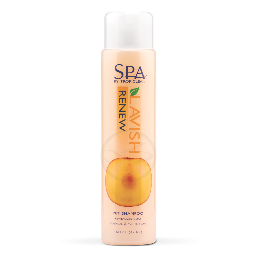 SPA Renew Shampoo (Restores damaged hair) 16oz(473ml)