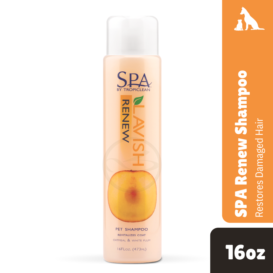 SPA Renew Shampoo (Restores damaged hair) 16 oz