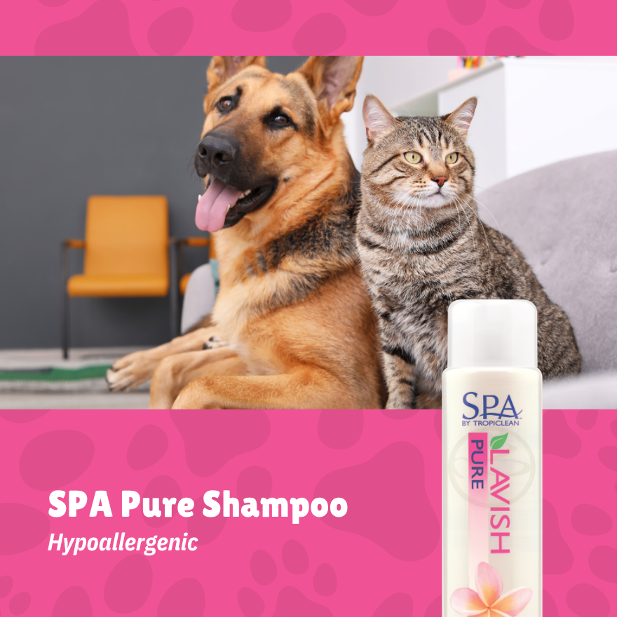 SPA Pure Shampoo 16oz(473ml)