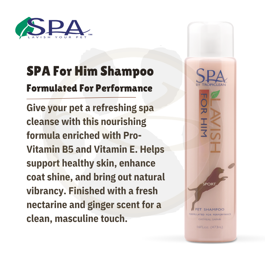 SPA Him Shampoo 16oz(473ml)