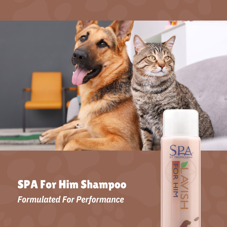 SPA Him Shampoo 16oz(473ml)