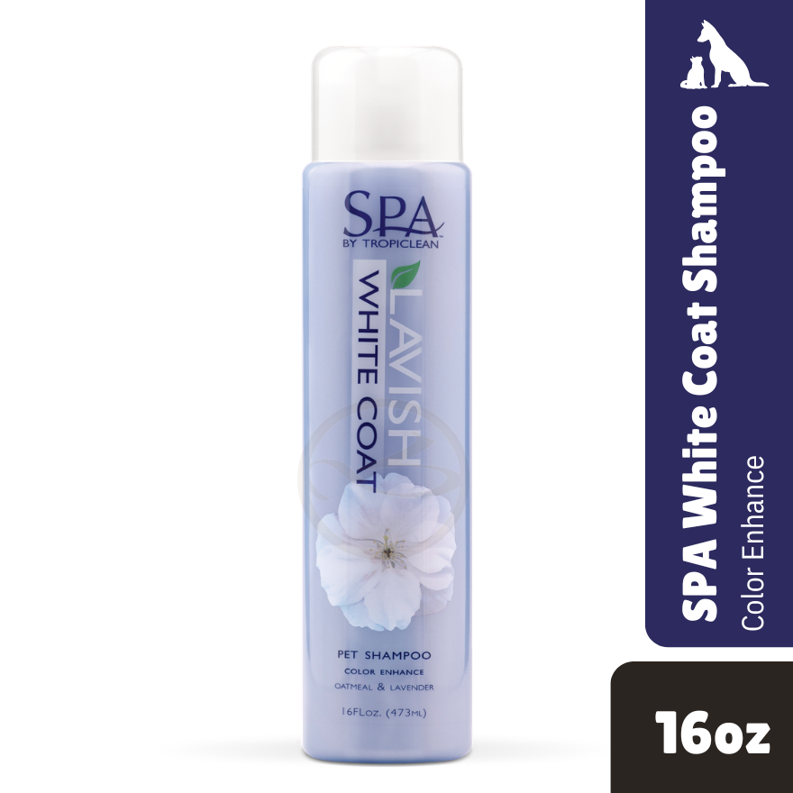 SPA Color White Shampoo 12oz