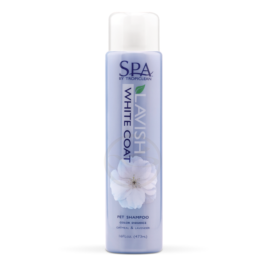 SPA Color White Shampoo 16oz(473ml)
