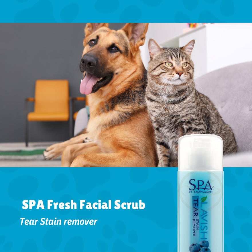 SPA Fresh Facial Scrub (Tear Stain remover) 8oz(236ml)