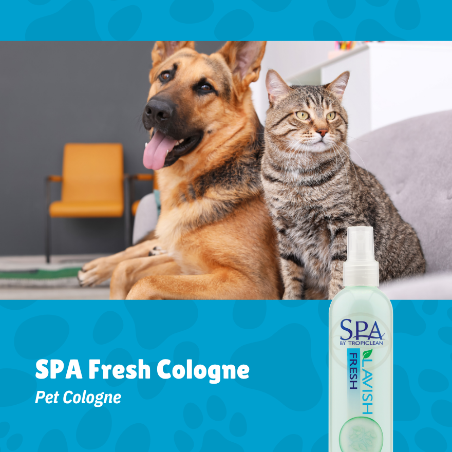SPA Fresh Cologne (Aromatherapy Spray) 8oz(236ml)