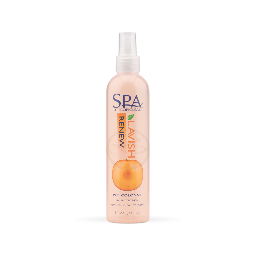 SPA Renew Cologne (Aromatherapy Spray) 8oz(236ml)