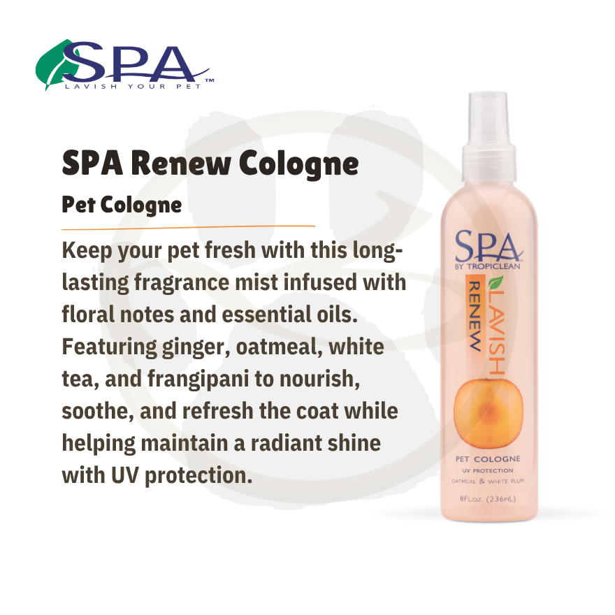 SPA Renew Cologne (Aromatherapy Spray) 8oz(236ml)