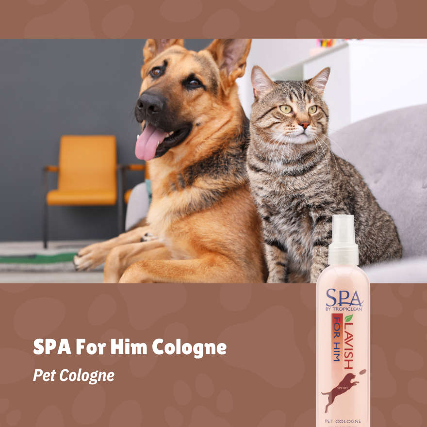 SPA For Him Cologne 8oz(236ml)
