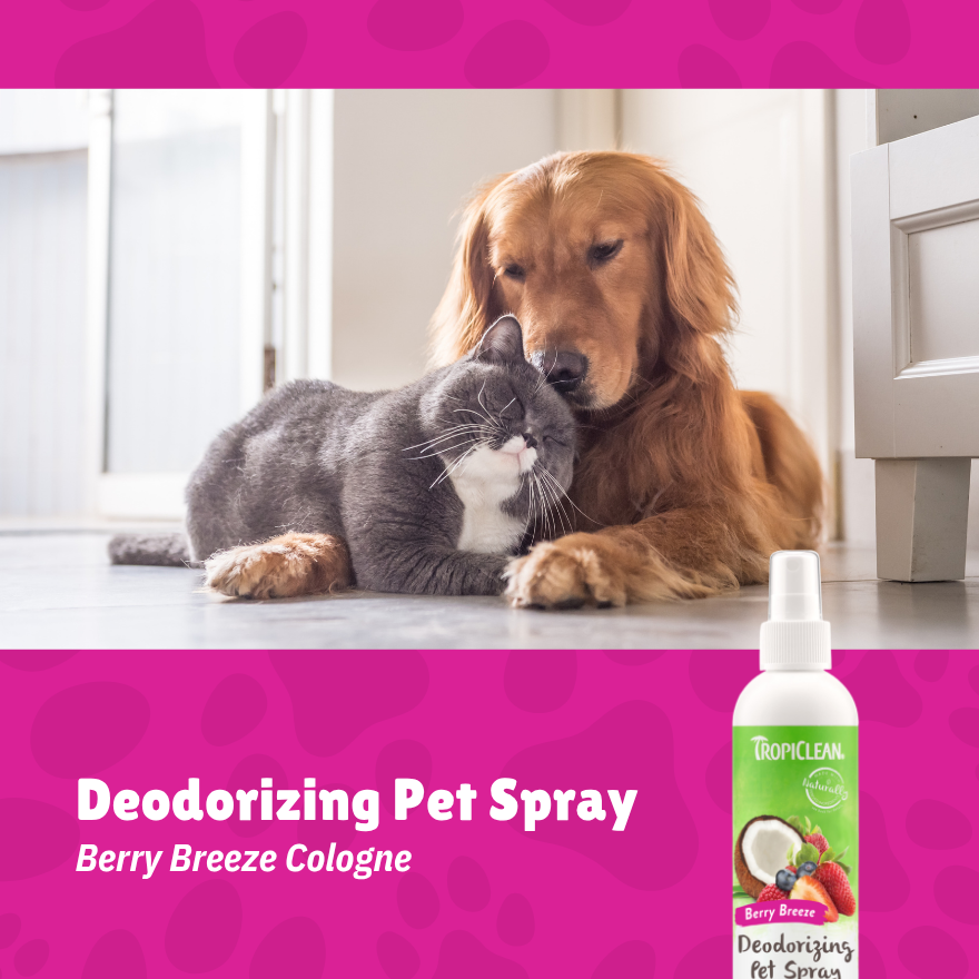 Berry Cologne  8oz(236ml)