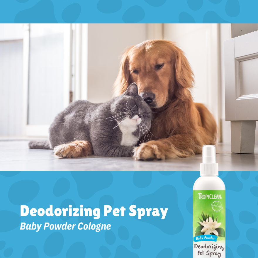Baby Powder Cologne 8oz(236ml)