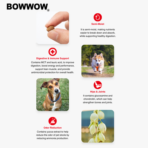 BowWow Dr. Soft Salmon Adult 3kg