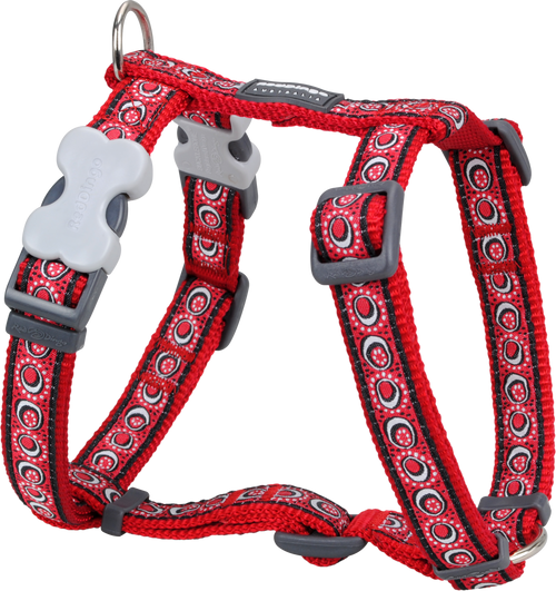 Harness Cosmos Red SML