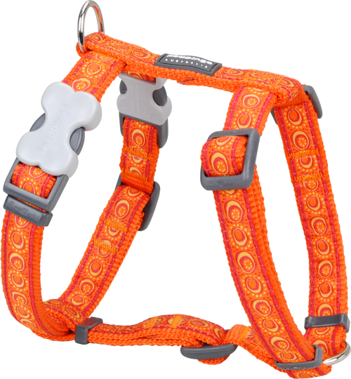 Harness Cosmos Orange SML