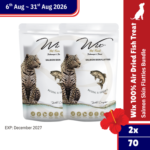 Merdeka Sale! Wix Salmon Skin Flatties 70g Bundle