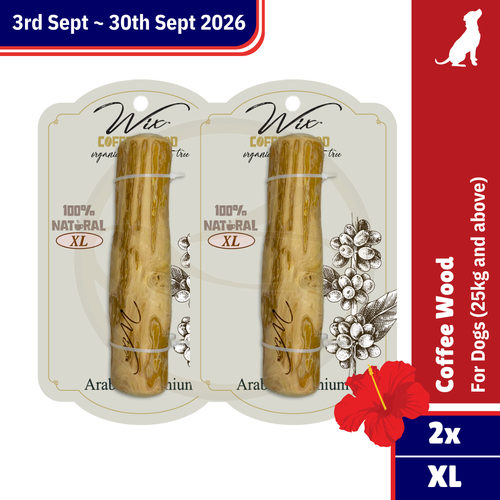 Merdeka Sale! Wix Coffee Wood XL Bundle