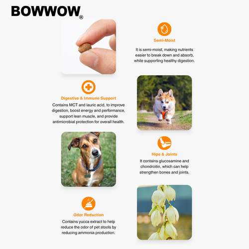 BUNDLE DEAL! BowWow Dr. Soft Lamb Adult 3kg x2 (EXP: 3 JUNE 2026)