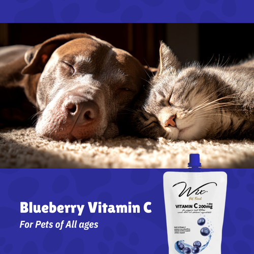 Wix Blueberry Vitamin C (Cat & Dog) 150ml x3 Bundle