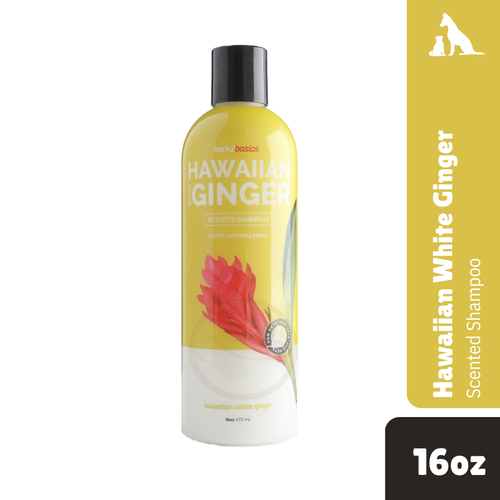 Hawaii White Ginger 16oz(492ml)