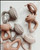 Infant Fruit Feeder + Teether