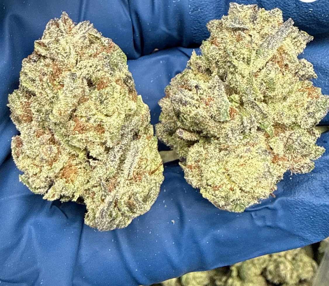 Ice Cream Cake 31% I/H