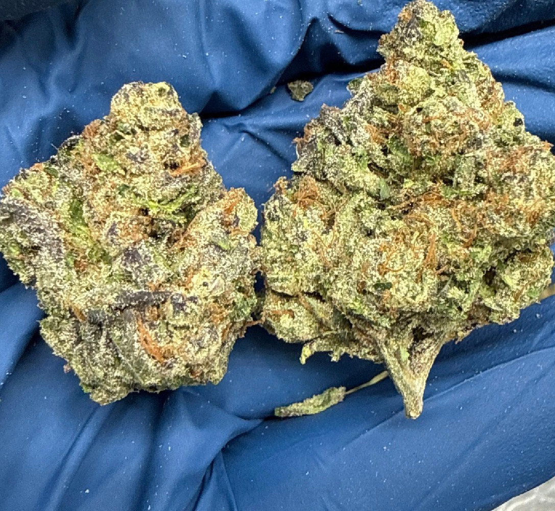 Glitter Bomb 24% I/H