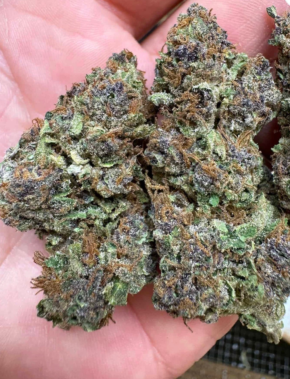 Tropicana Cherry 26% S/H