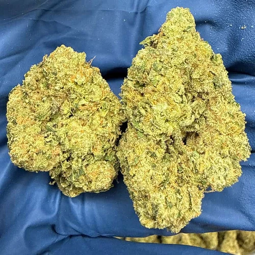 Lemon OG 31% I/H