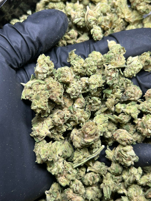 ✅ High-THCA Lab-Tested Smalls
✅ 1LB + 1LB Free = 2 Full Pounds
✅ While Supplies Last
Plus shipping and taxes ✅ High-THCA Lab-Tested Smalls
✅ 1LB + 1LB Free = 2 Full Pounds
✅ While Supplies Last
Plus shipping and taxes