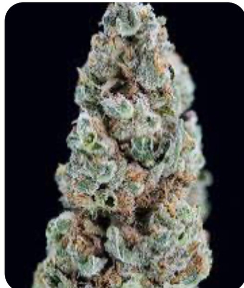 GMO 25% I/H