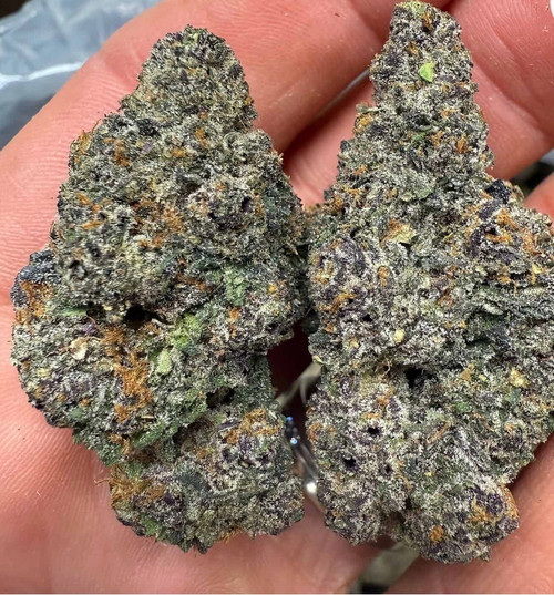 Purple Runtz 31% I/H