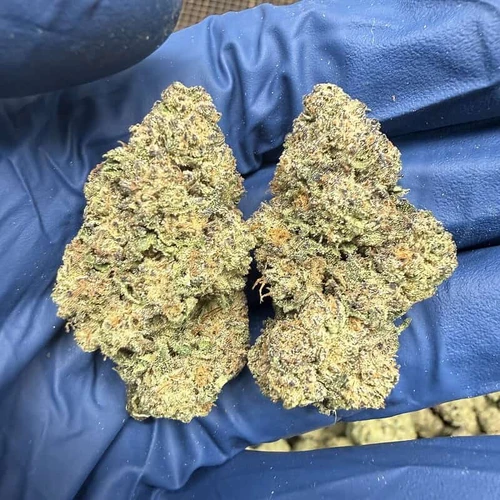 Ice Cream Cake 31% I/H