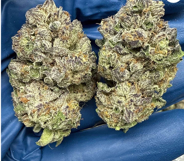 Watermelon Runtz 31% I/H
