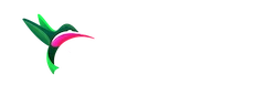 TopCashback China