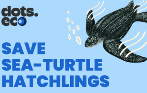 Save a sea-turtle hatchling's logo
