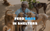 Feed stray dogs in shelters's logo
