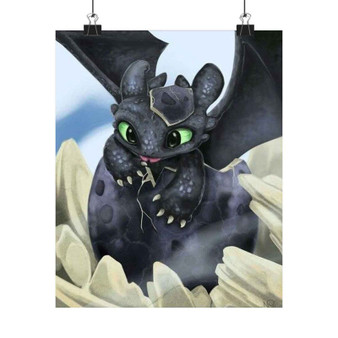 How To Train Your Dragon Toothless Custom Silky Poster Satin Art Print Wall Home Decor