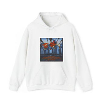 Dave Matthews Band Chicago Cotton Polyester Unisex Heavy Blend Hooded Sweatshirt Hoodie